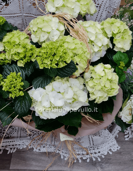 ortensia bianca sul naturale